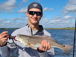 A single redfish caught while fishing in SC