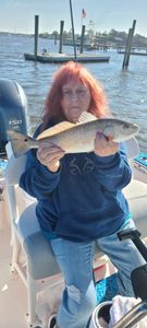 Redfish caught in SC by angler