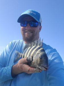 Sheepshead fish caught on fishing tour in Johns Island