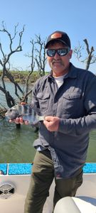 Sheepshead fish caught while fishing on Johns Island