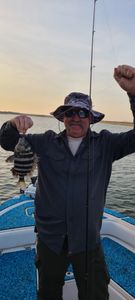 Sheepshead fish caught on fishing tour in Johns Island