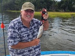 Spotted Weakfish, 6 inch fish, fishing in Johns Island