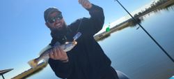 Spotted Weakfish caught while fishing in SC