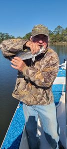 Spotted Weakfish, 8 inches, fishing in SC