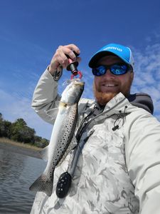 Spotted Weakfish, 14-inch fish, caught on Johns Island