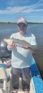 Spotted Weakfish caught in Johns Island
