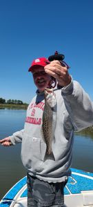 A caught Spotted Weakfish fish in South Carolina