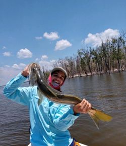 Casting into Everglades Beauty