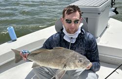 Angler with a Black Drum caught in Chokoloskee, Florida