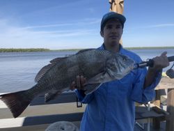 Fisherman catching a black drum fish in Chokoloskee