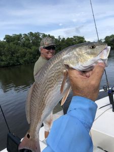 Big fish caught in Chokoloskee while fishing