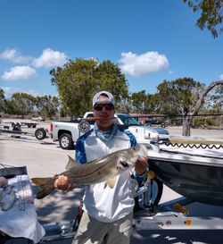 A large snook caught in Chokoloskee