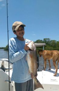 Angler with a 24-inch catch in Chokoloskee