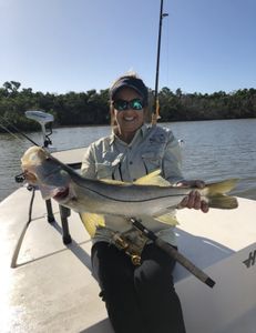 Snook fish caught in Chokoloskee