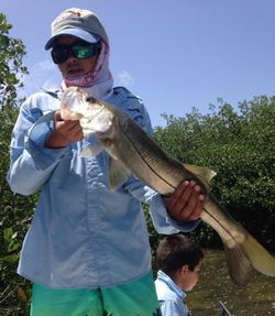 Snook fish caught in Chokoloskee