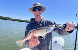 Spotted Weakfish caught while fishing in FL