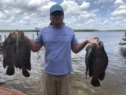Three fishing at Chokoloskee