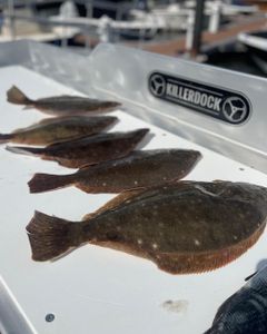 Experience NJ's Finest Fishing
