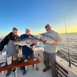 Striped Bass Fishing Adventures