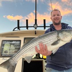 Striped Bass: A True Catch