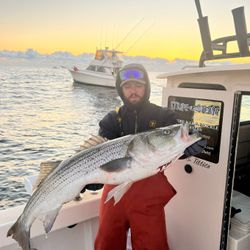 Striper season swagger in Manasquan.