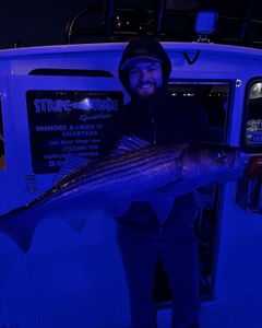 Manasquan's striped bass saga.