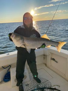 Striped bass therapy.