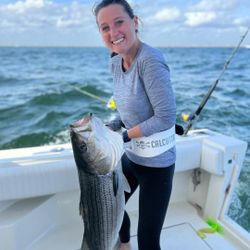 Striped Bass Fishing Excitement