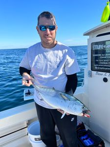 A fisherman holds a large king mackerel in NJ