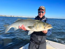 Striped bass caught in Manasquan, New Jersey