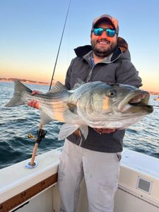 A big 28-inch fish caught in Manasquan during a fishing tour