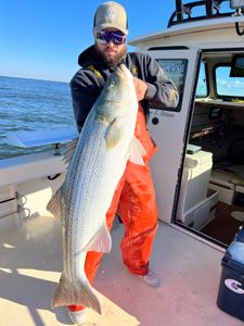 Striped Bass caught during fishing tour in Manasquan