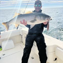Striped bass caught in Manasquan during fishing tour