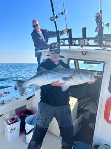 Striped bass fishing in Manasquan