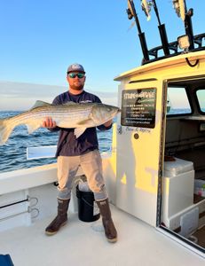 Striped bass fishing in New Jersey