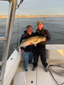 Striped bass, 28 inches, caught fishing in NJ