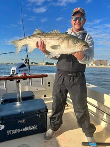 Striped bass caught in NJ