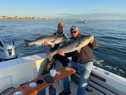 Two striped bass fish caught on fishing tour in Manasquan