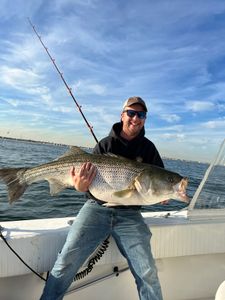 Striped bass fishing tour in Manasquan