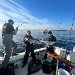 Striped bass caught on fishing tour in New Jersey