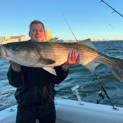 Striped bass caught during fishing tour in NJ
