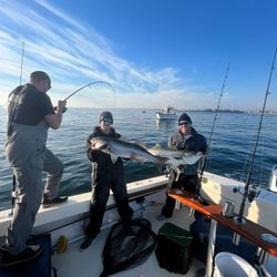 Striped bass caught on fishing tour in NJ
