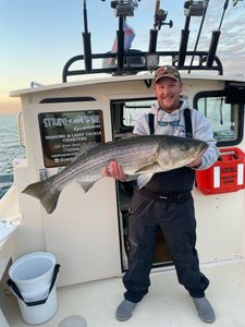 Striped bass caught while fishing in NJ