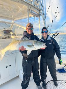 Striped bass caught while fishing in NJ