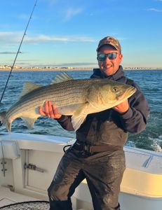 Striped bass caught while fishing in Manasquan