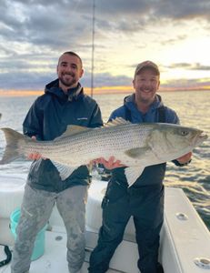 A striped bass being held by two people in Manasquan