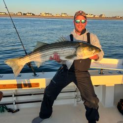 A striped bass fish caught in NJ