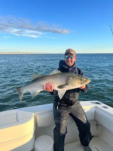 Striped bass caught in NJ