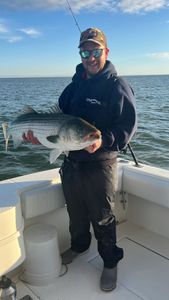 Wiper (Hybrid striped bass) fish caught in Manasquan