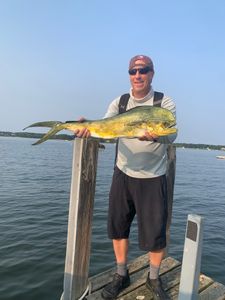 Angler reels in a 31-inch catch in Osterville